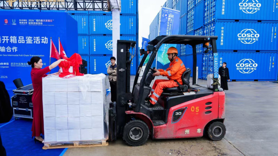 لأول مرة.. تونس تصدّر 50 طنا من زيت الزيتون إلى الصين